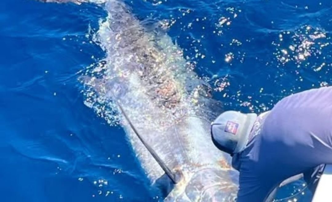 February 2025 – 500+ Club