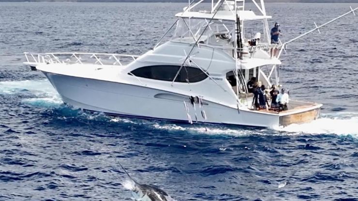 April 2025 – 500+ Club