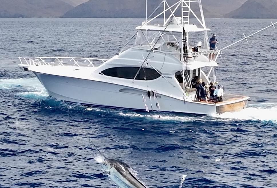 April 2025 – 500+ Club