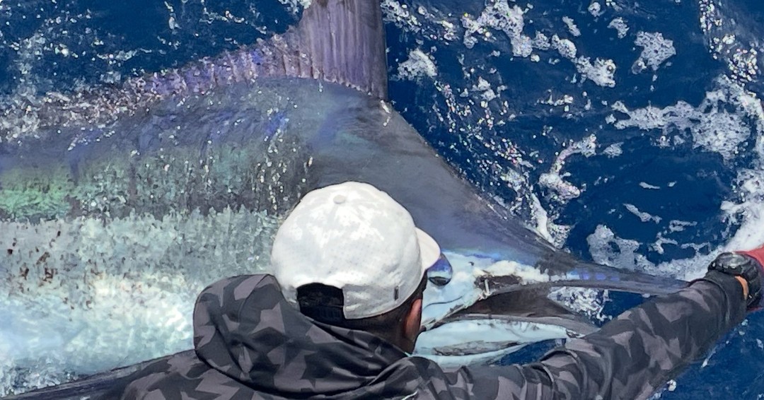 June 2025 – 500+ Club