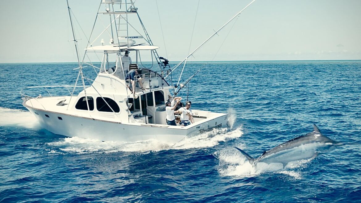 October 2025 – 500+ Club