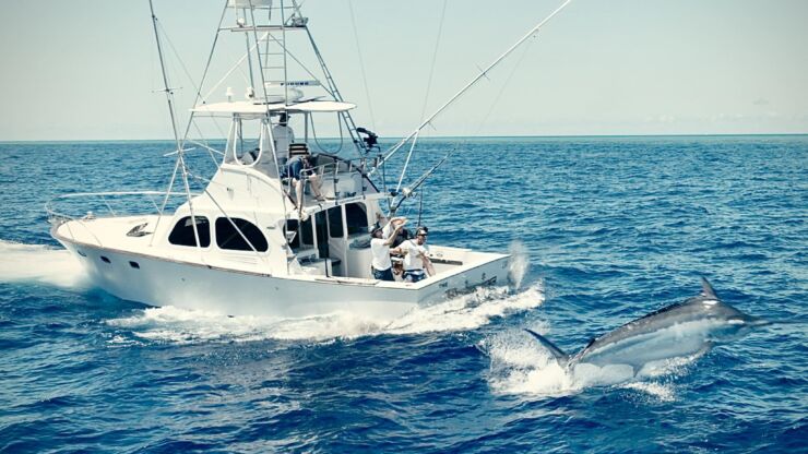 October 2025 – 500+ Club