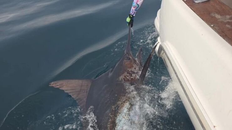 March 2026 – 500+ Club